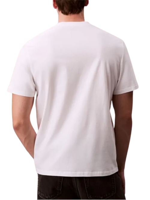 T-shirt stile college Calvin Klein Jeans | LV04RE810GYAA